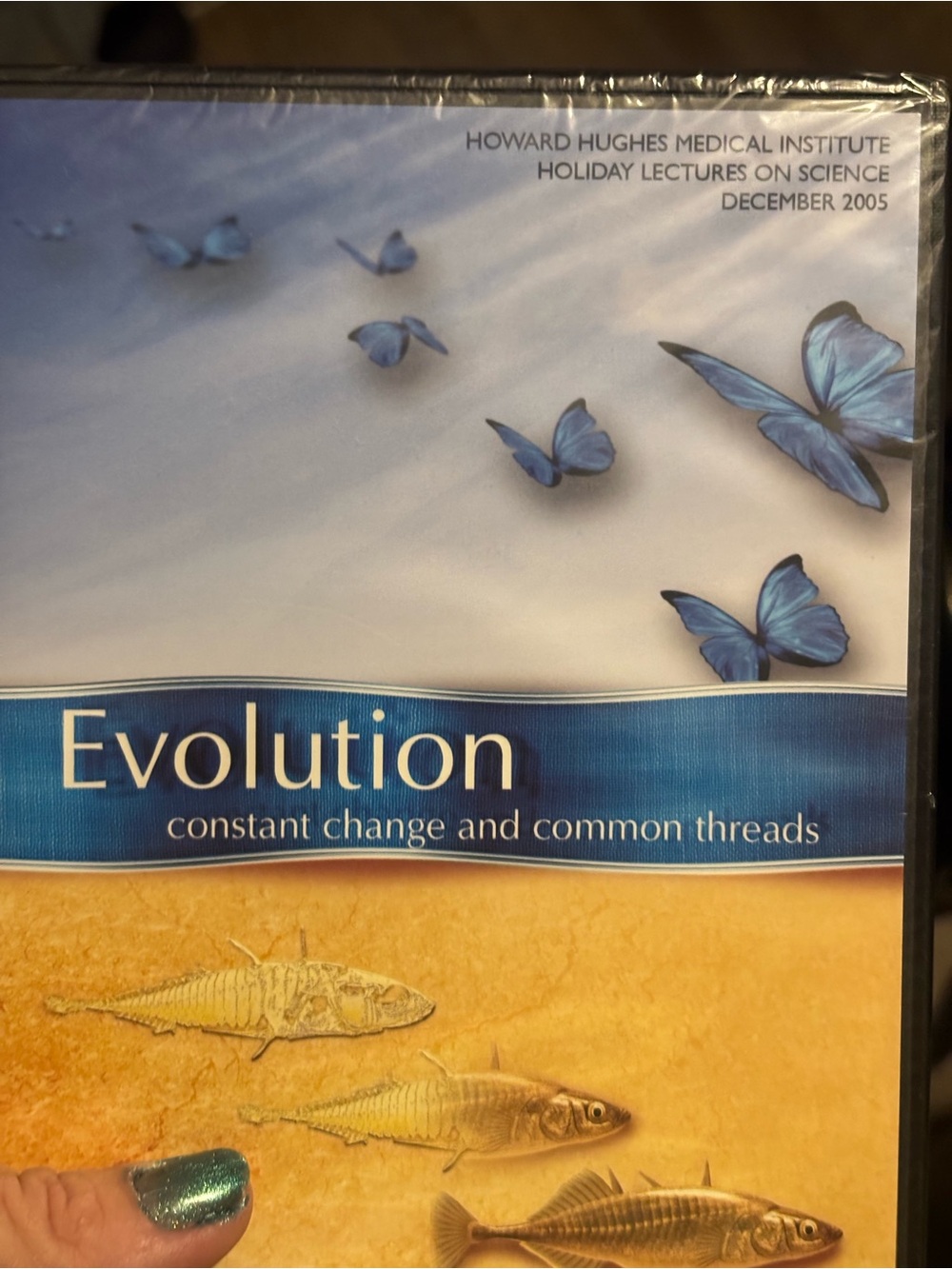 Evolution DVD - blue butterfly cover